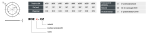 rozetta-szkic.png