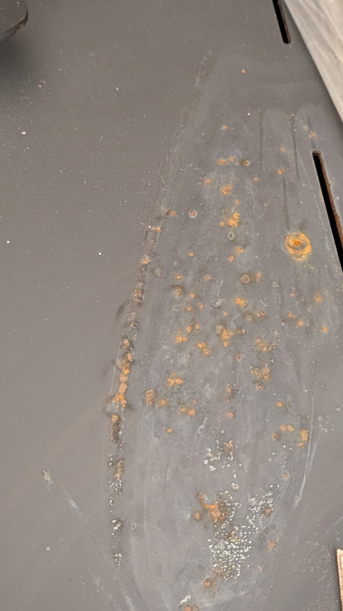 WhatsApp Image 2025-08-13 at 07.46.04.jpeg